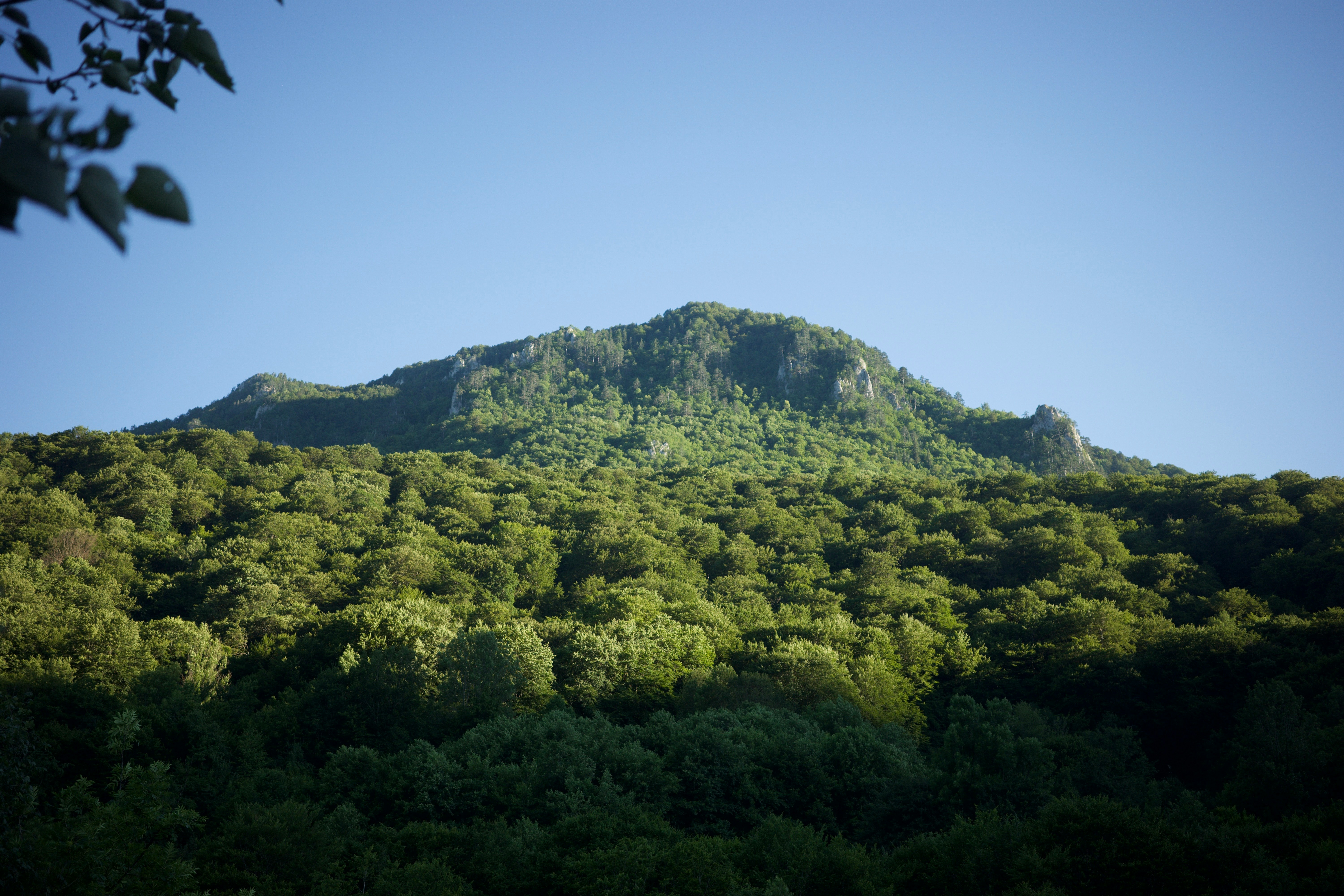 HTTP를 이해하기 위한 첫 단추, URL